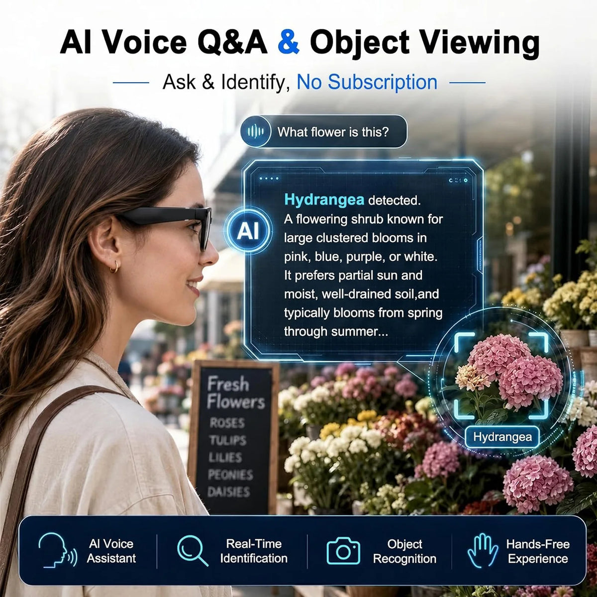 Hivisuals AI Smart Glasses With 4K Camera And Translation