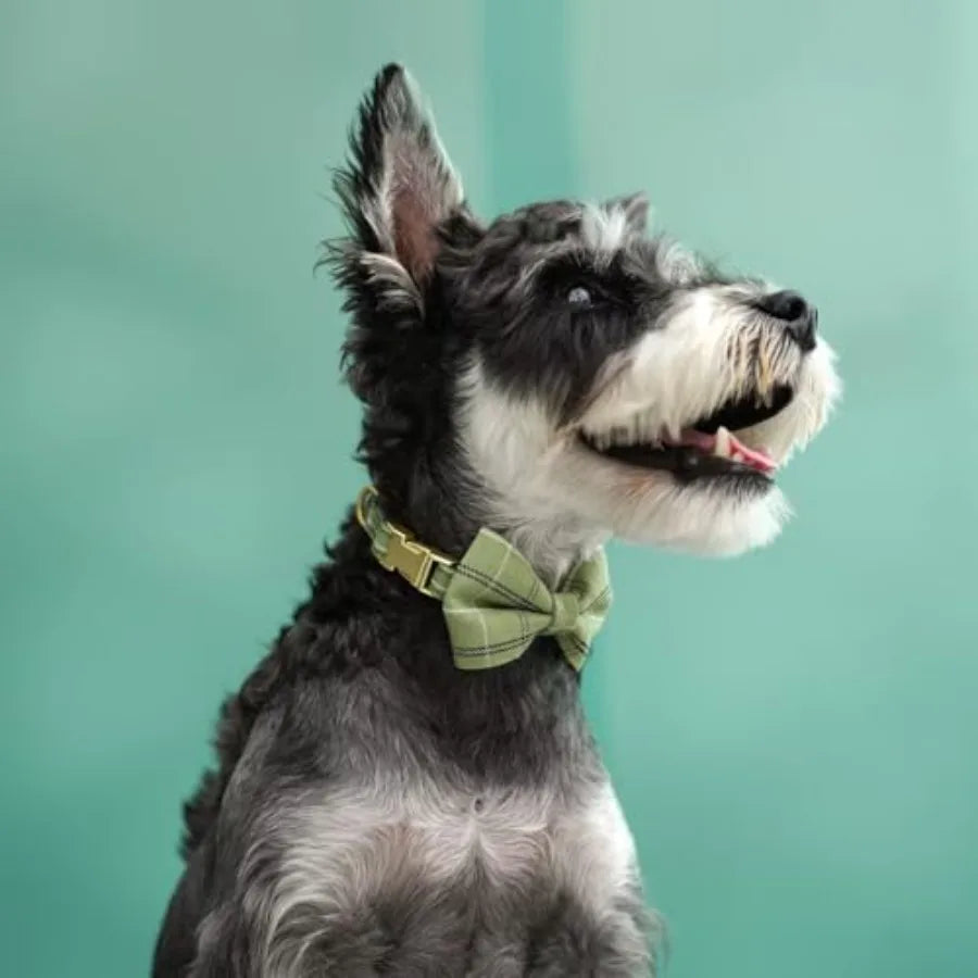 Soft Adjustable Plaid Harness Collar and Leash Set with Bowtie