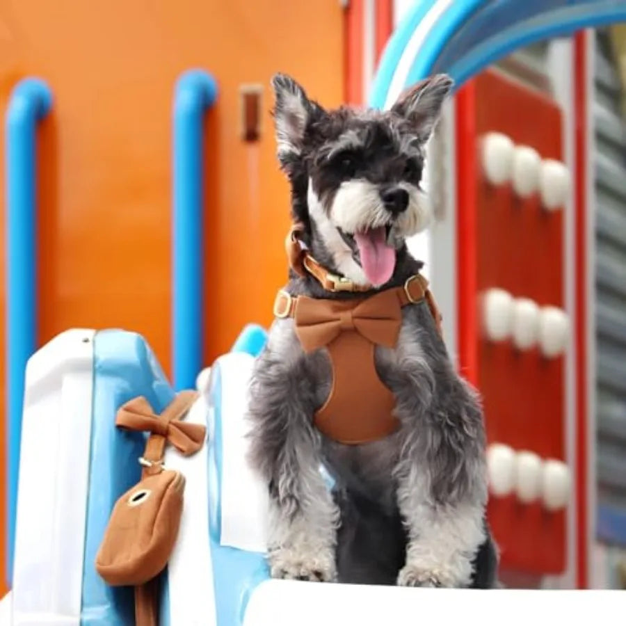 Adjustable Dog Harness Collar And Leash Set For Walking