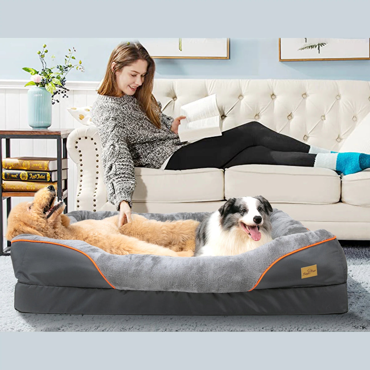 BINGOPAW Washable Waterproof Dog Bed With Removable Cover