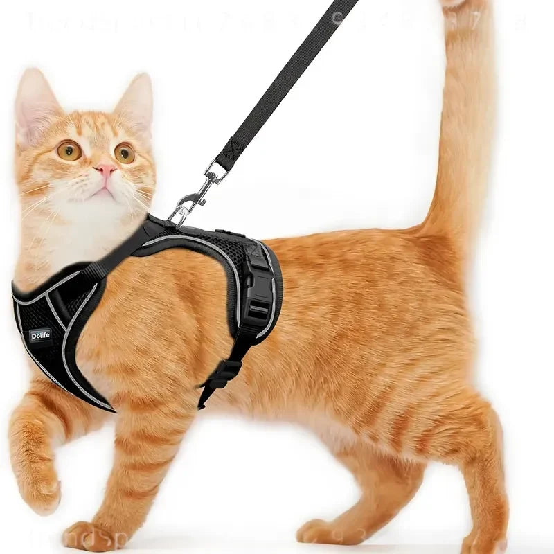 Anti Escape Cat Harness And Leash Set For Outdoor Walking