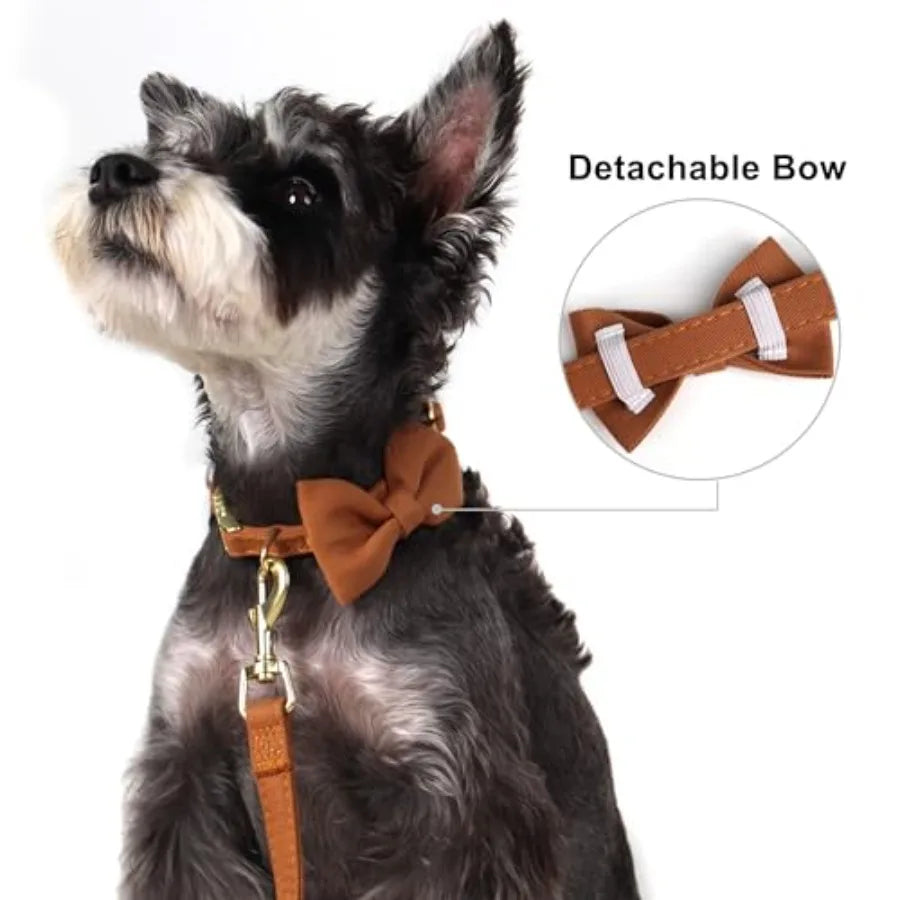Adjustable Dog Harness Collar And Leash Set For Walking