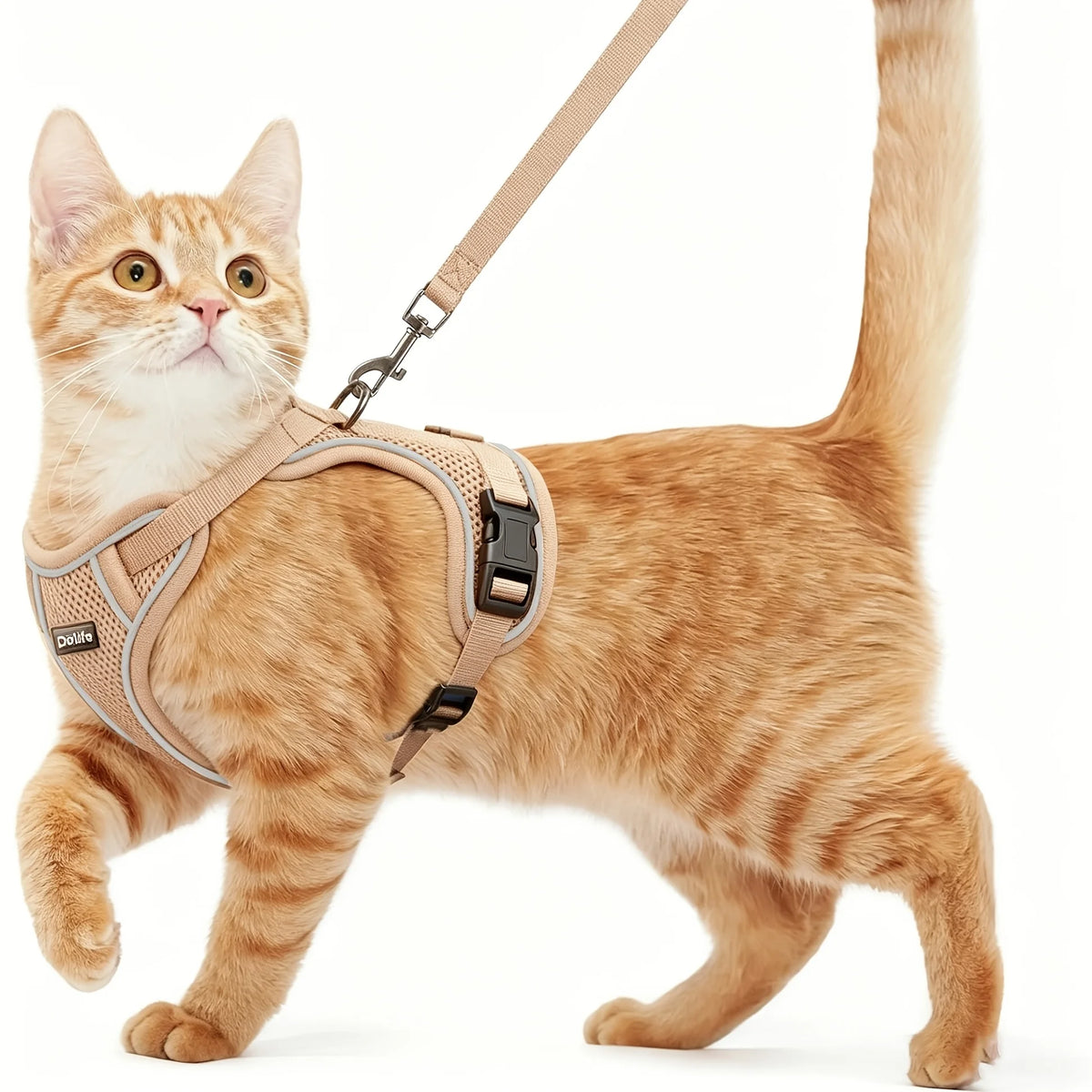 Anti Escape Cat Harness And Leash Set For Outdoor Walking