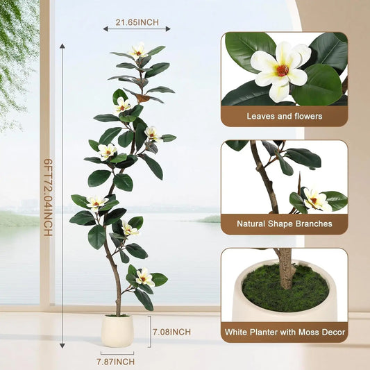 5-7FT Artificial Magnolia Tree, S-Curve Trunk, White Planter | S-shaped curved trunk, lifelike white magnolia flowers, lush green leaves, adjustable stems, cement-weighted white planter