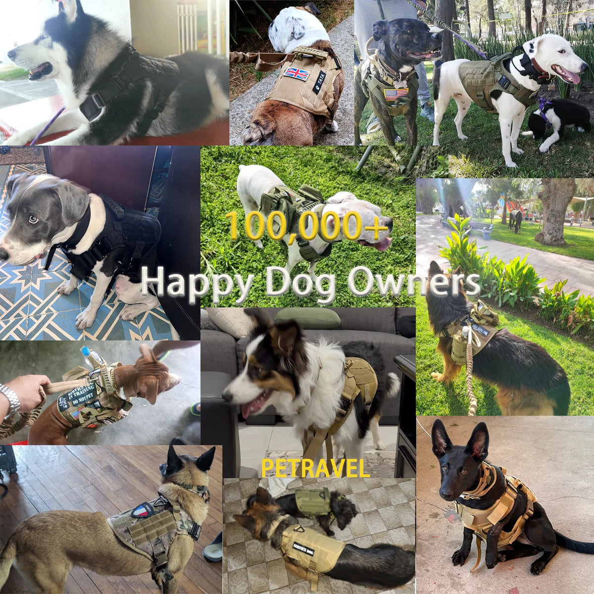 Adjustable Tactical Nylon Dog Harness With Quick Release
