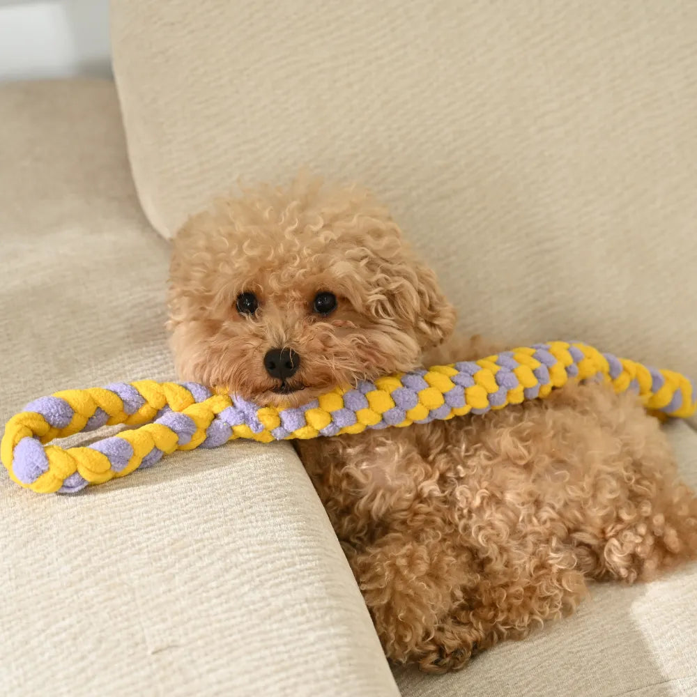 Interactive Dog Rope Tug Toys With Durable Woven Dual Handles