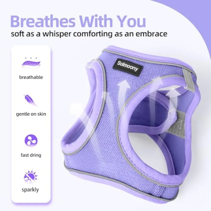 Sparkly Reflective Step In Puppy Harness And Leash Set for Walking
