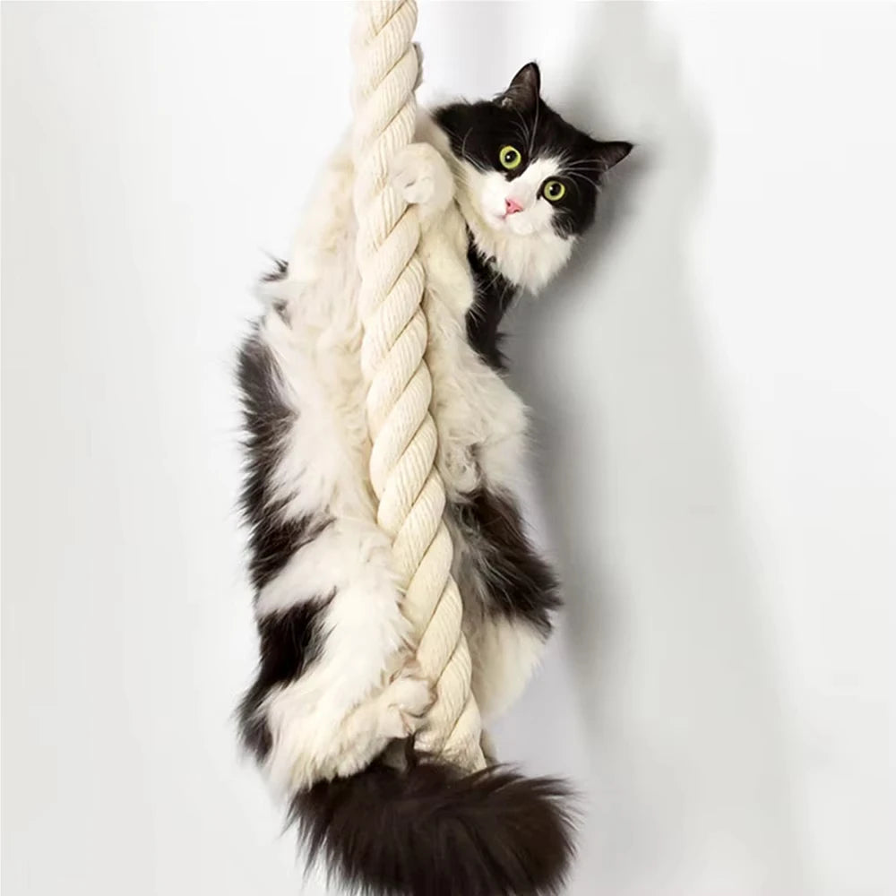 Cat Climbing Shelf And Rope Tree Wall Mounted Scratching Post