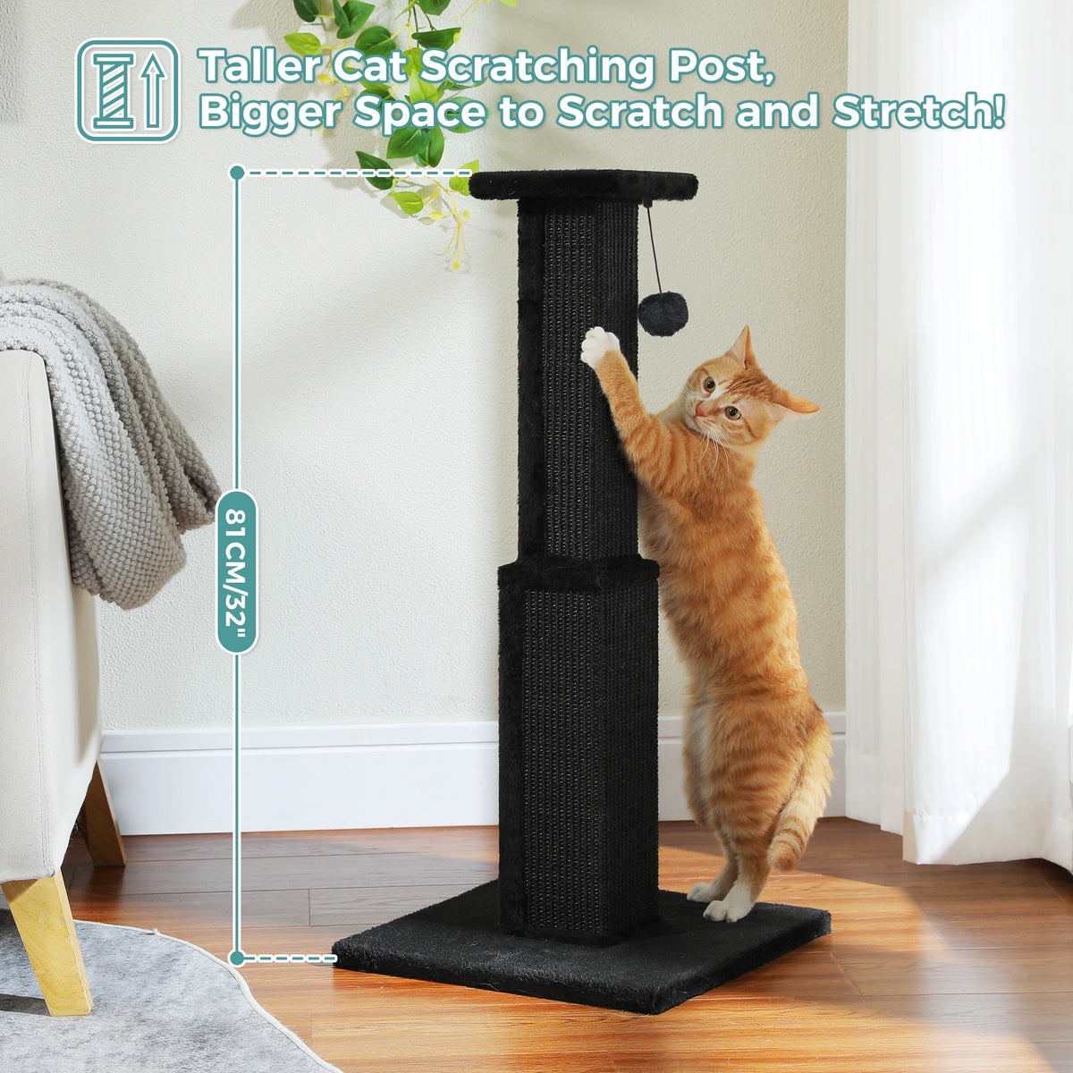 PAWZ Road Large Cat Scratching Post For Indoor Cats With Woven Sisal Ball