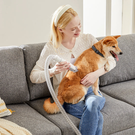 JHK Pet Grooming Vacuum Kit With Clippers And Groomer Tools