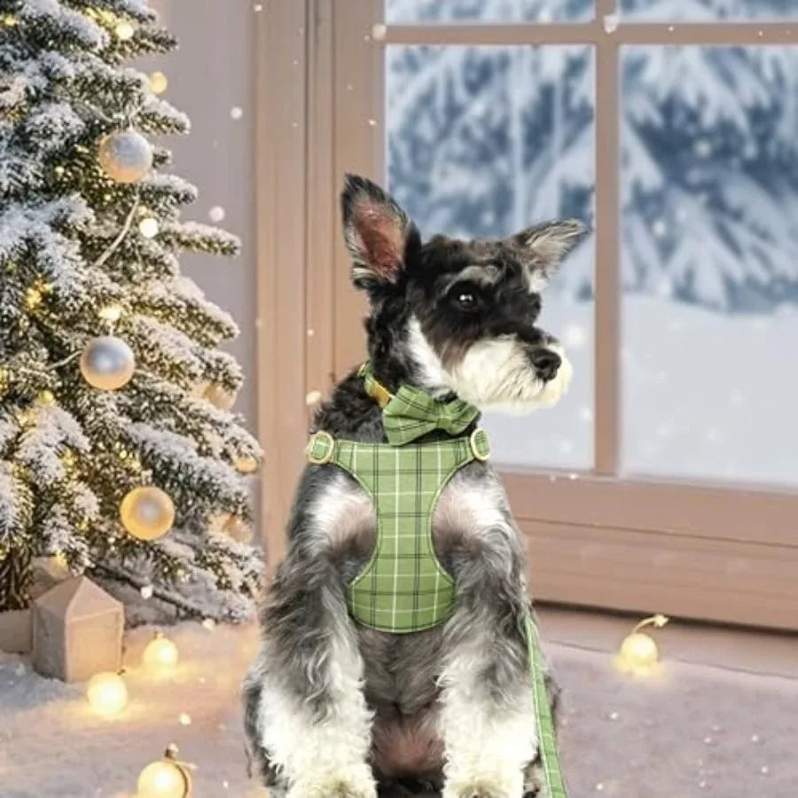 Soft Adjustable Plaid Harness Collar and Leash Set with Bowtie