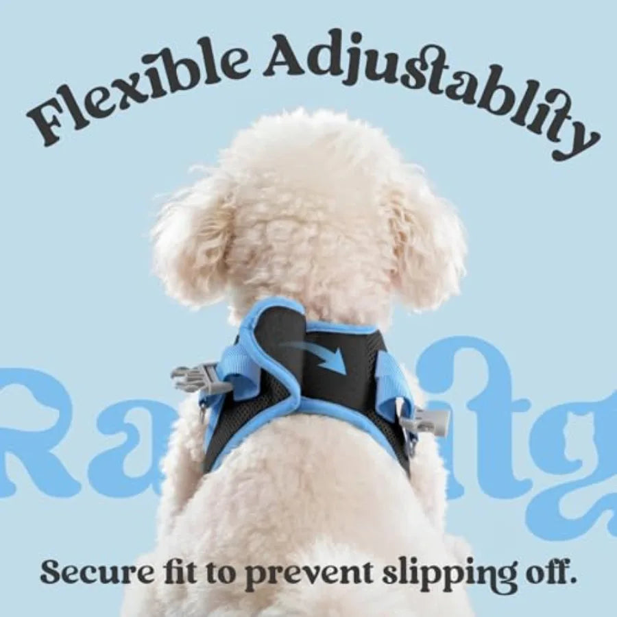 Reflective Step In Breathable Mesh Dog Harness And Leash Set