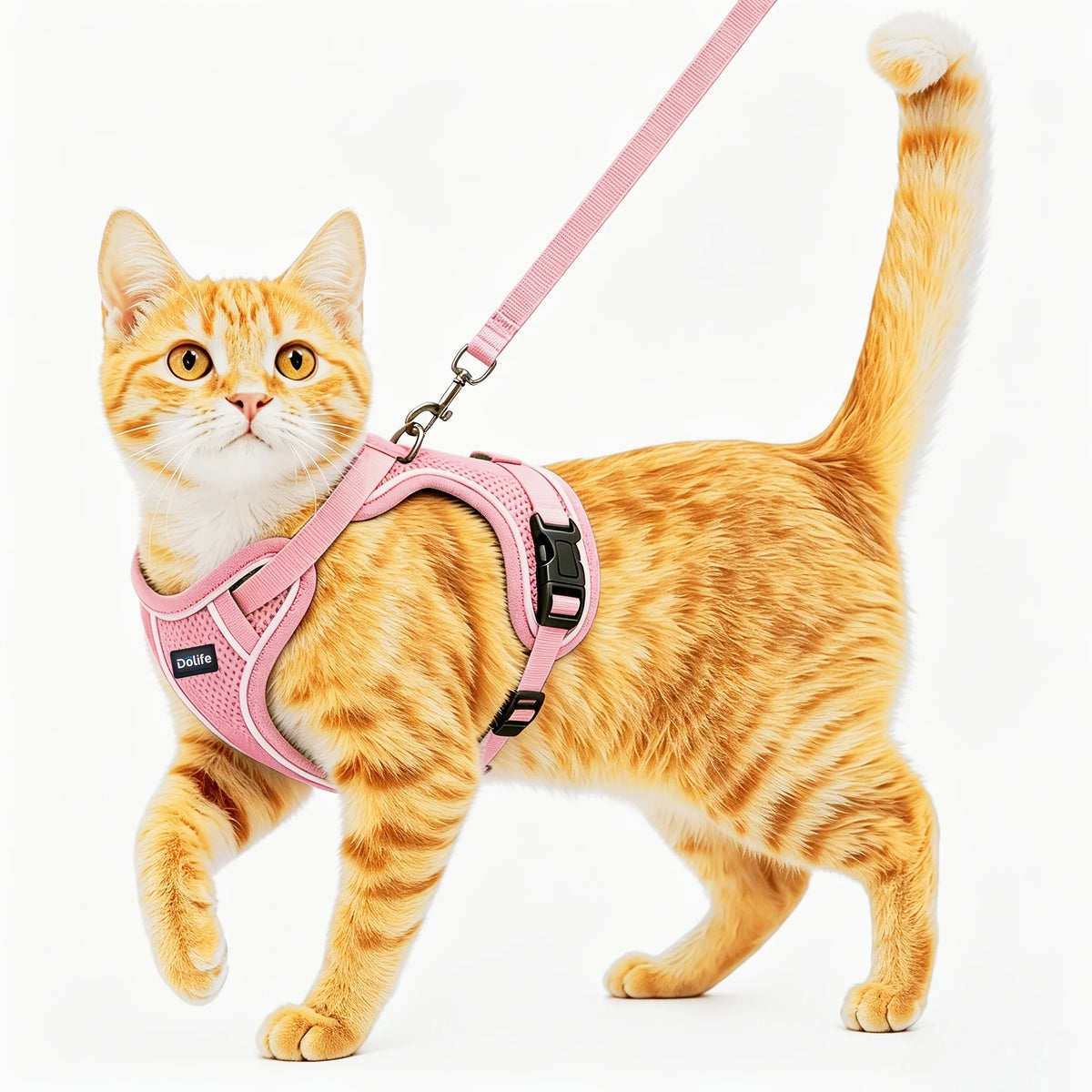 Anti Escape Cat Harness And Leash Set For Outdoor Walking