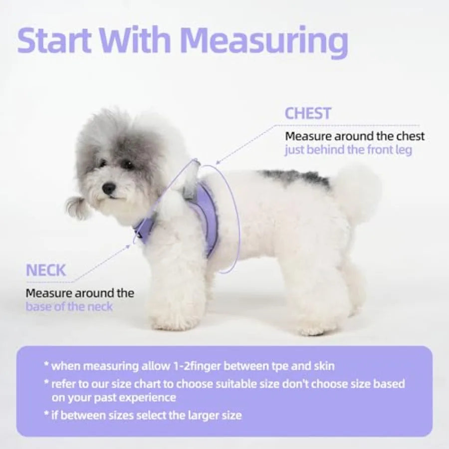Sparkly Reflective Step In Puppy Harness And Leash Set for Walking