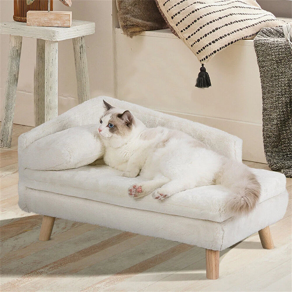 BORWART Elevated Dog Sofa Bed With Plush Cushion And Backrest