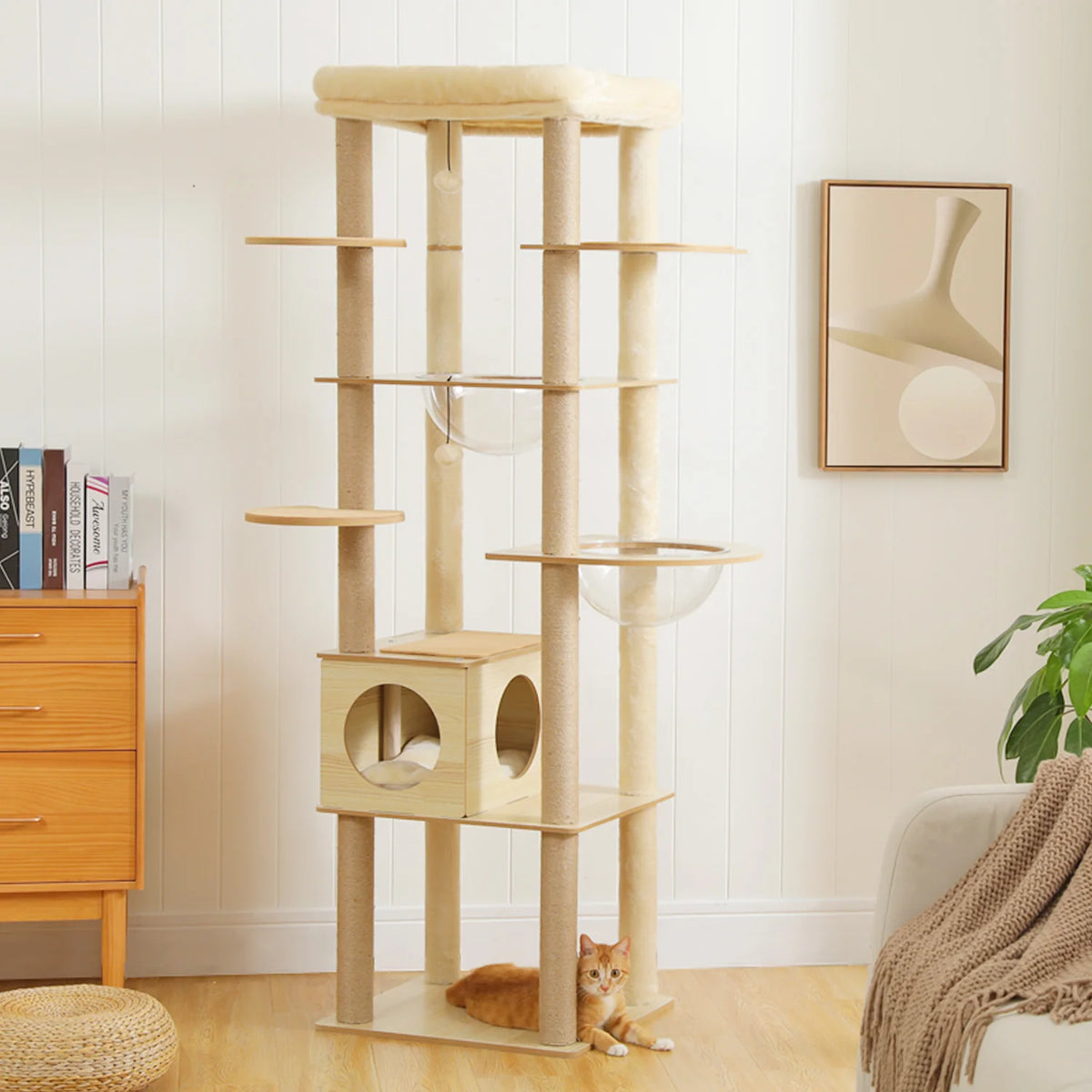 PAWZ Ro Multi Level Cat Tree Indoor Wood Tower Scratcher