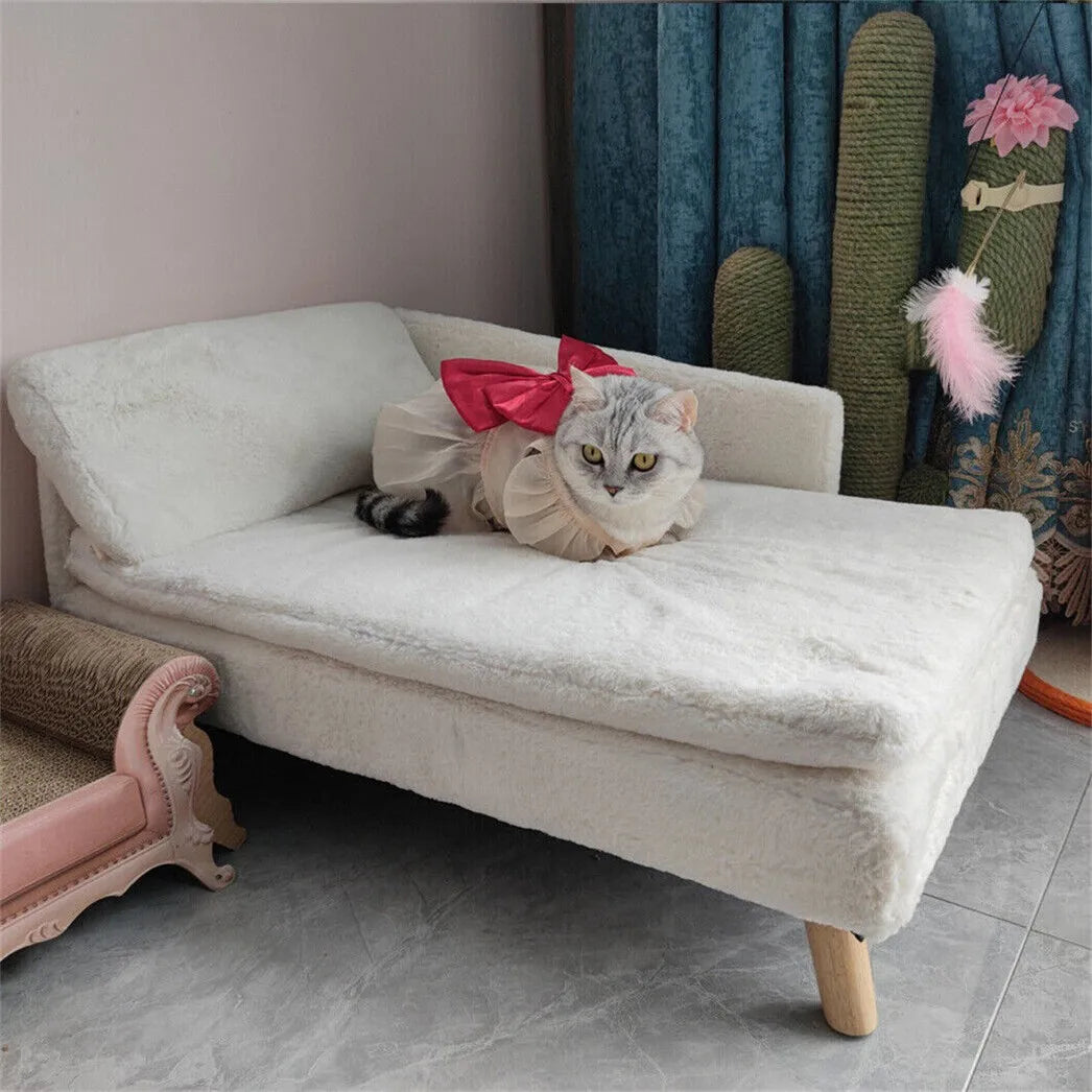BORWART Elevated Dog Sofa Bed With Plush Cushion And Backrest