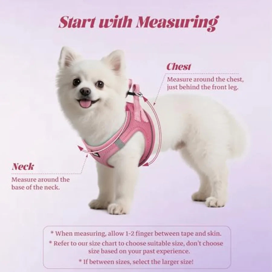 Reflective No Pull Dog Harness And Leash Set For Walking