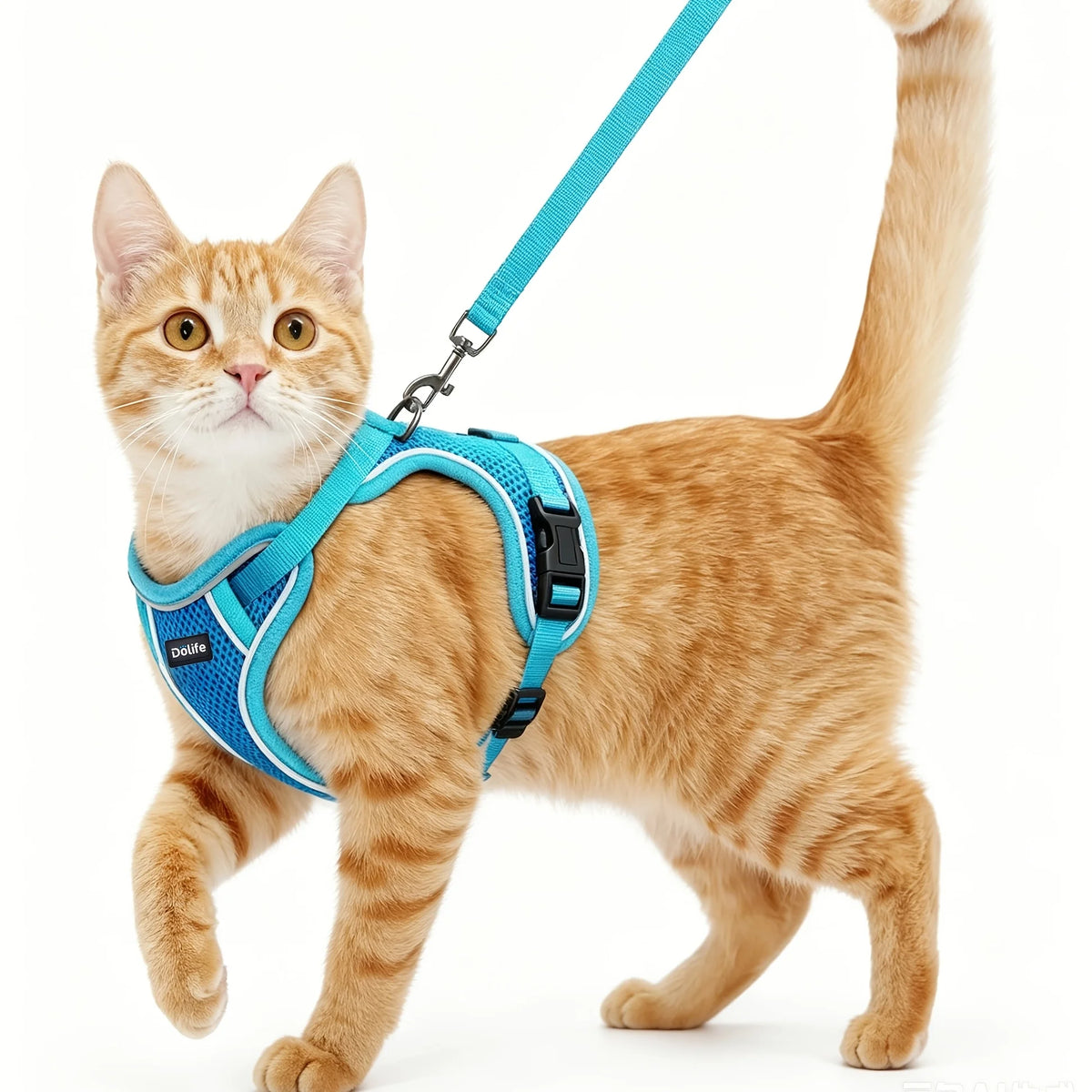 Anti Escape Cat Harness And Leash Set For Outdoor Walking