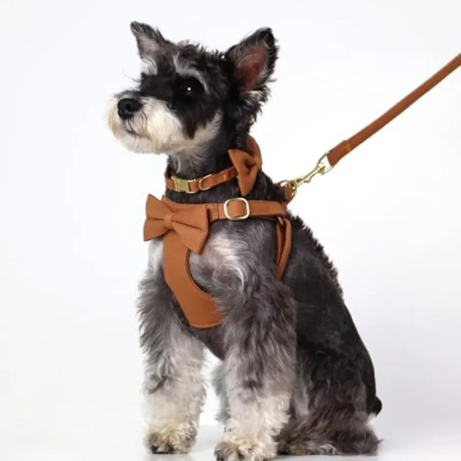 Adjustable Dog Harness Collar And Leash Set For Walking