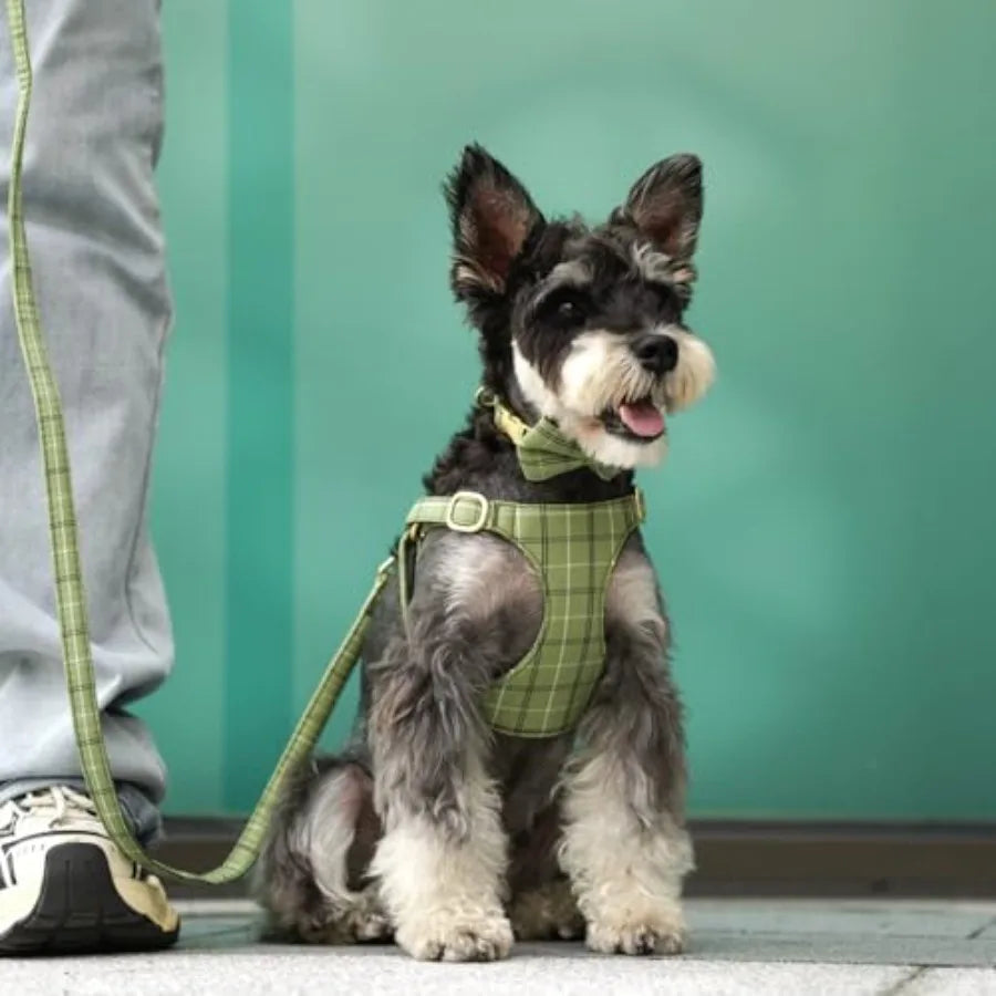 Soft Adjustable Plaid Harness Collar and Leash Set with Bowtie