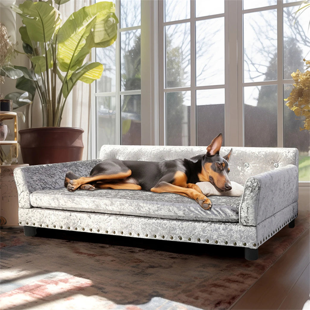 BORWART CN Heavy Duty Ultra Sofa Bed Dogs And Cats