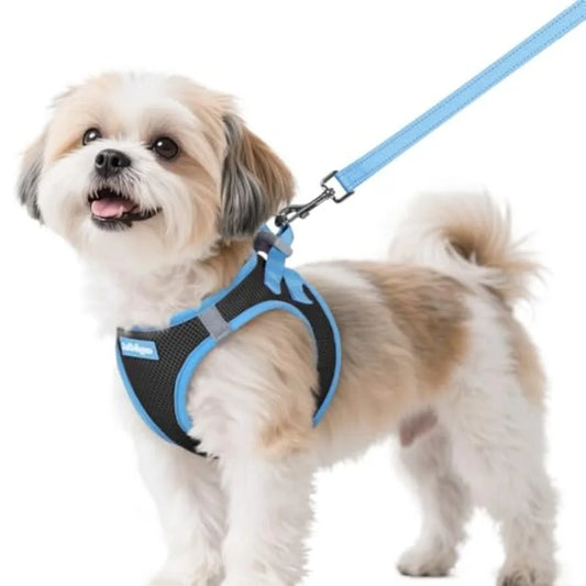 Reflective Step In Breathable Mesh Dog Harness And Leash Set