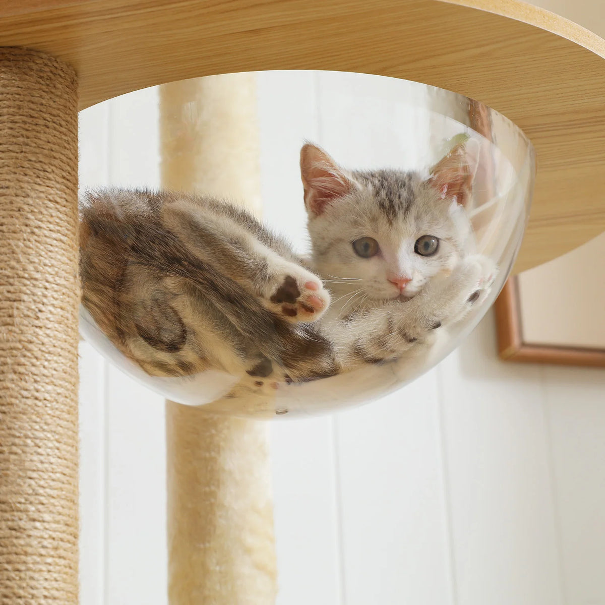 PAWZ Ro Multi Level Cat Tree Indoor Wood Tower Scratcher