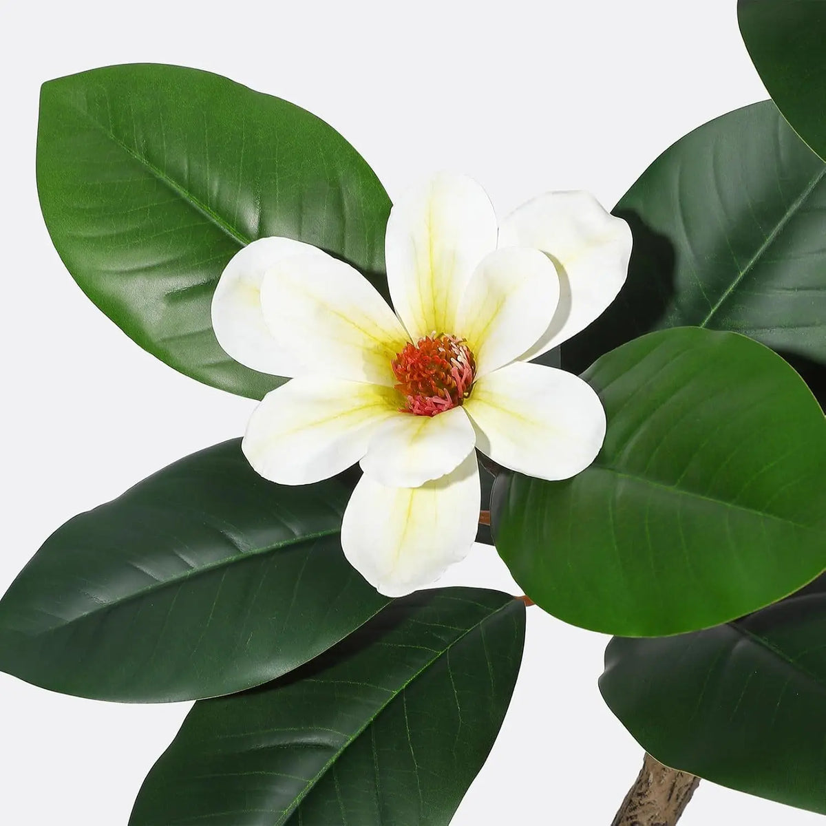 5-7FT Artificial Magnolia Tree, S-Curve Trunk, White Planter | S-shaped curved trunk, lifelike white magnolia flowers, lush green leaves, adjustable stems, cement-weighted white planter