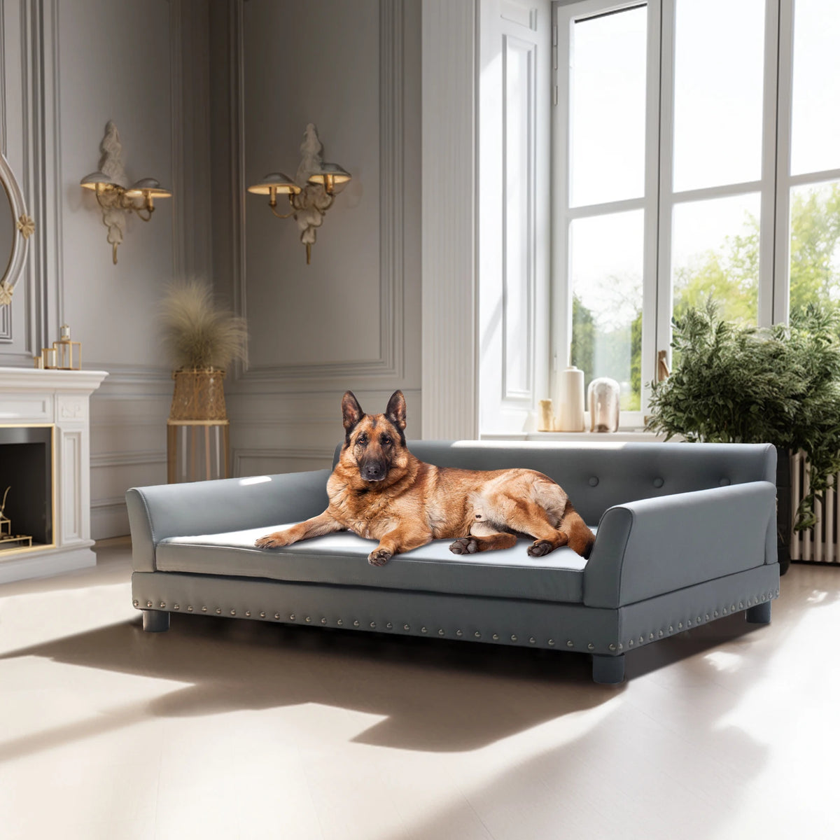 BORWART CN Heavy Duty Ultra Sofa Bed Dogs And Cats