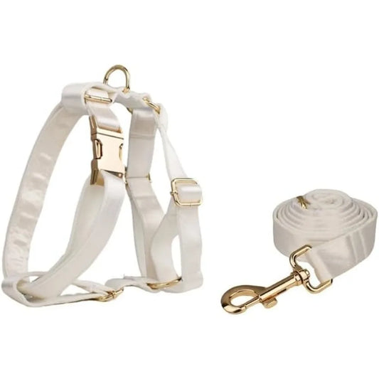 Personalized Dog Collar With Name Tag And Soft Bow Design