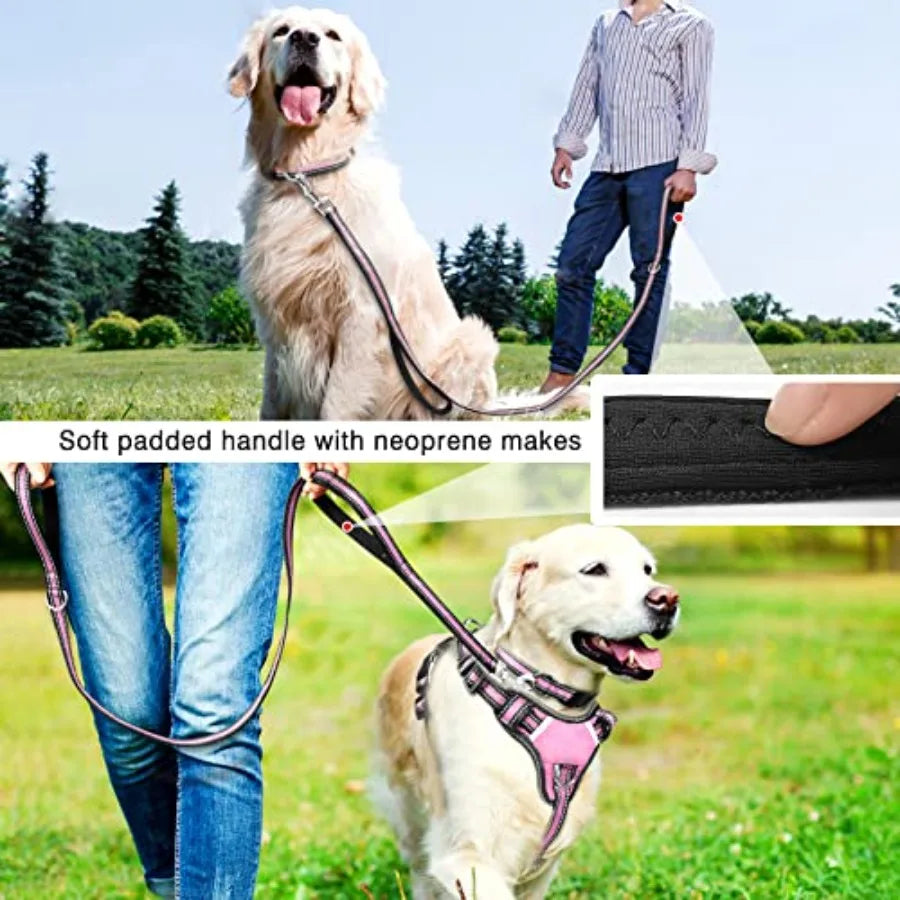 Reflective Nylon Dog Harness Leash Set With No Pull Design