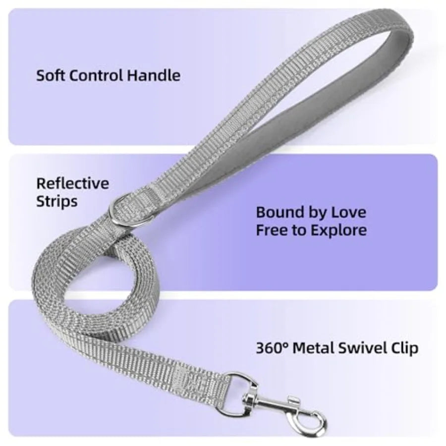 Sparkly Reflective Step In Puppy Harness And Leash Set for Walking