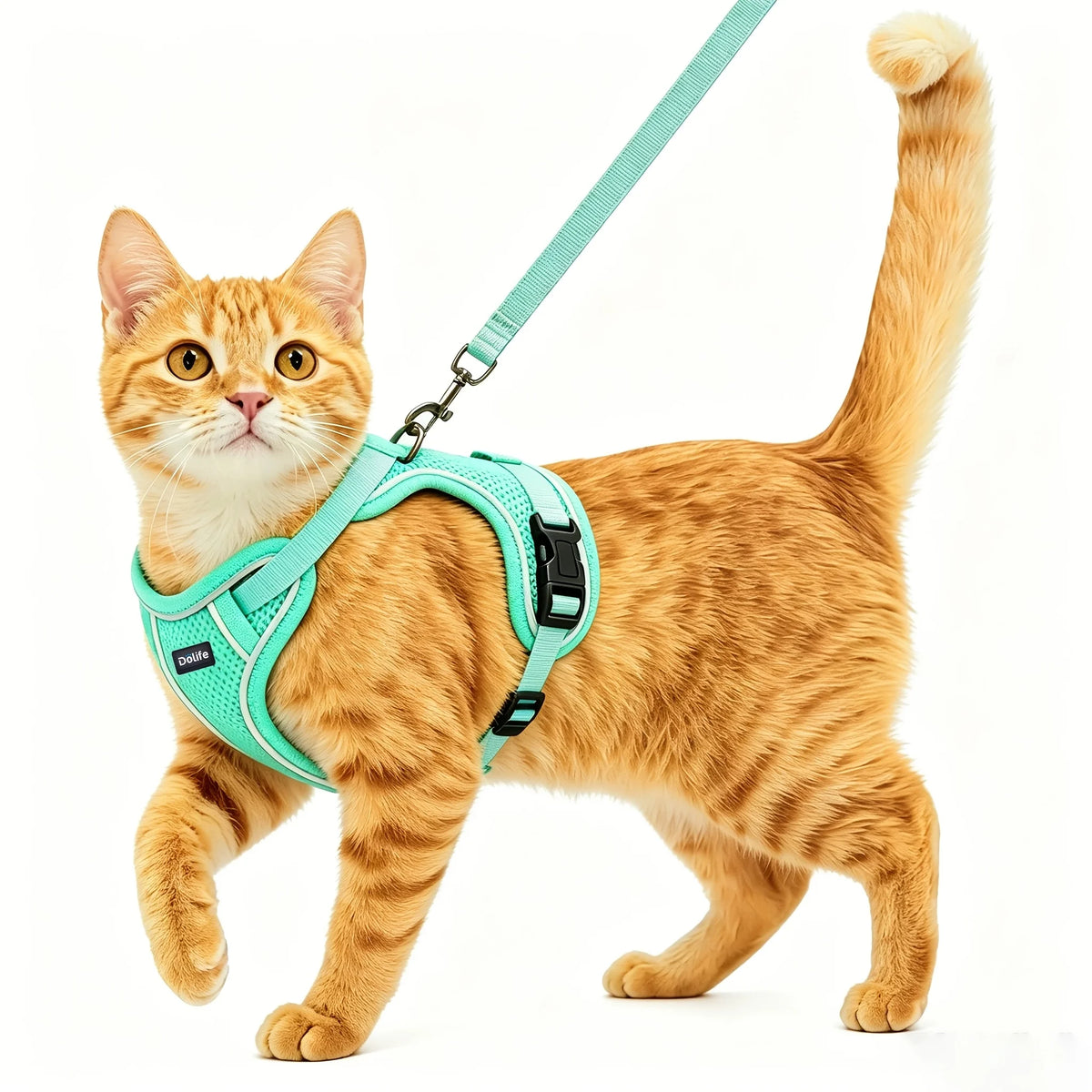 Anti Escape Cat Harness And Leash Set For Outdoor Walking