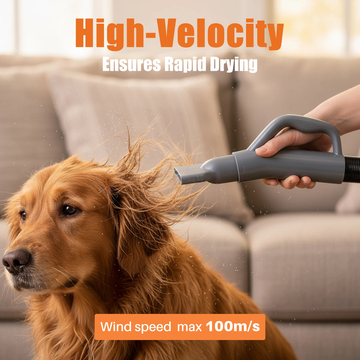 JHK Grooming Vacuum Blow Dryer Kit With Adjustable Heat Settings