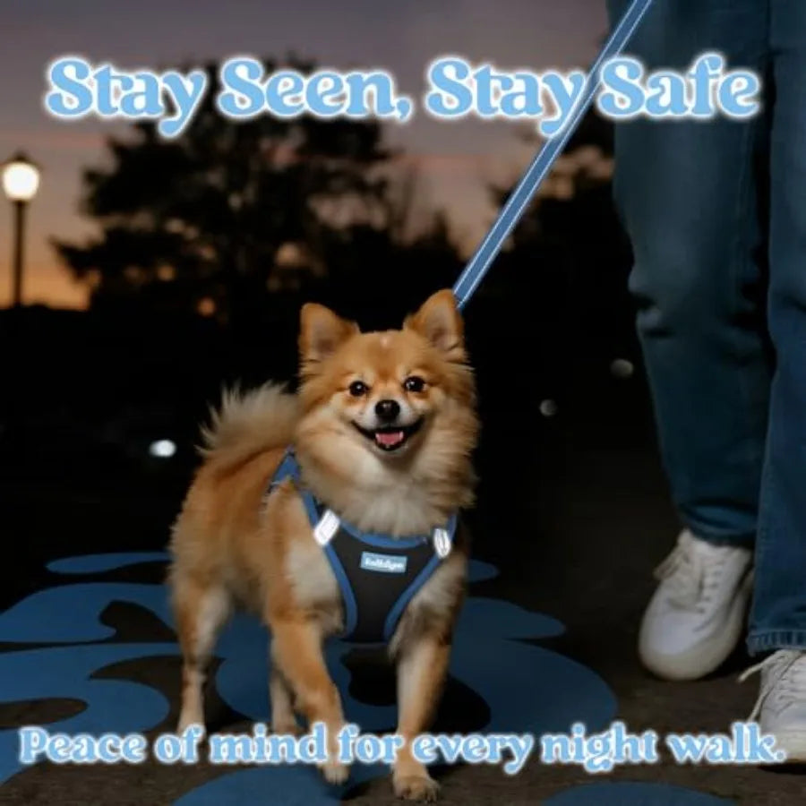 Reflective Step In Breathable Mesh Dog Harness And Leash Set