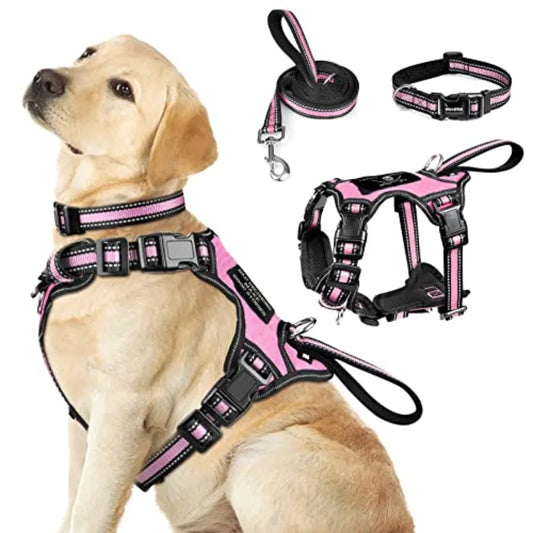 Reflective Nylon Dog Harness Leash Set With No Pull Design