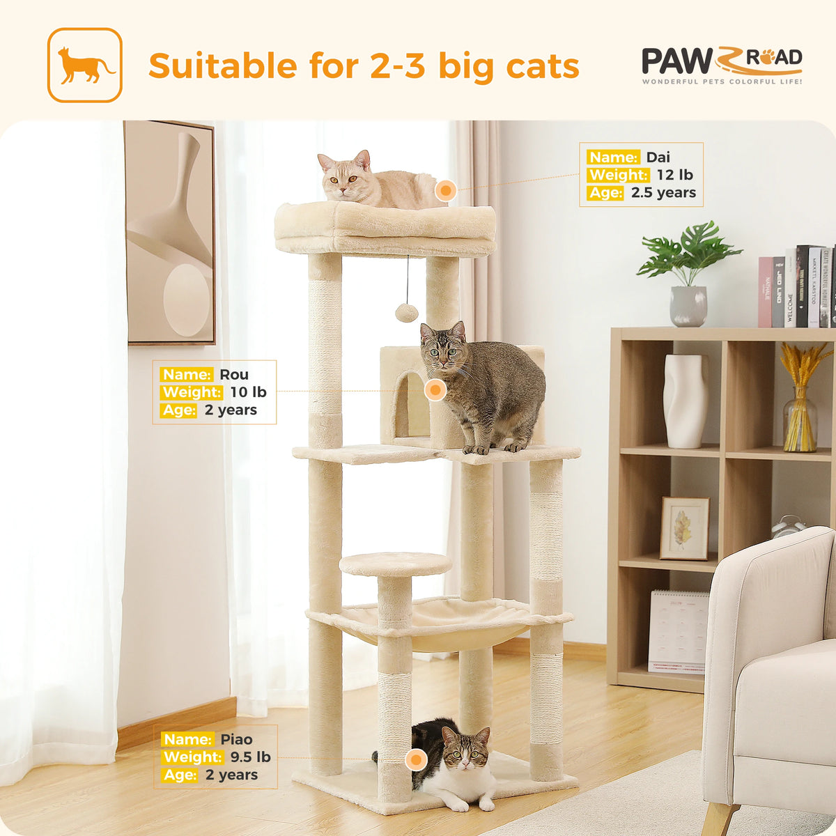 PAWZ Road Indoor Cat Tree With Hammock And Scratching Posts