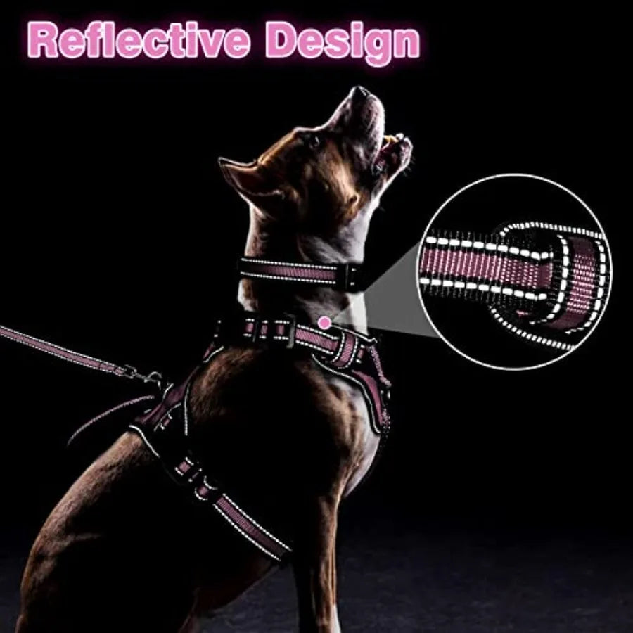 Reflective Nylon Dog Harness Leash Set With No Pull Design