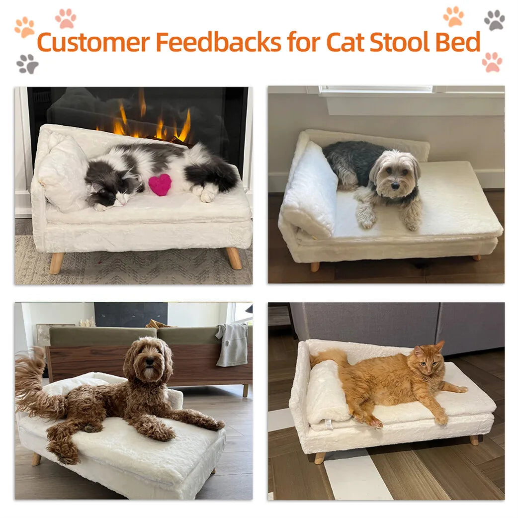 BORWART Elevated Dog Sofa Bed With Plush Cushion And Backrest