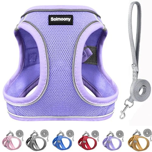 Sparkly Reflective Step In Puppy Harness And Leash Set for Walking