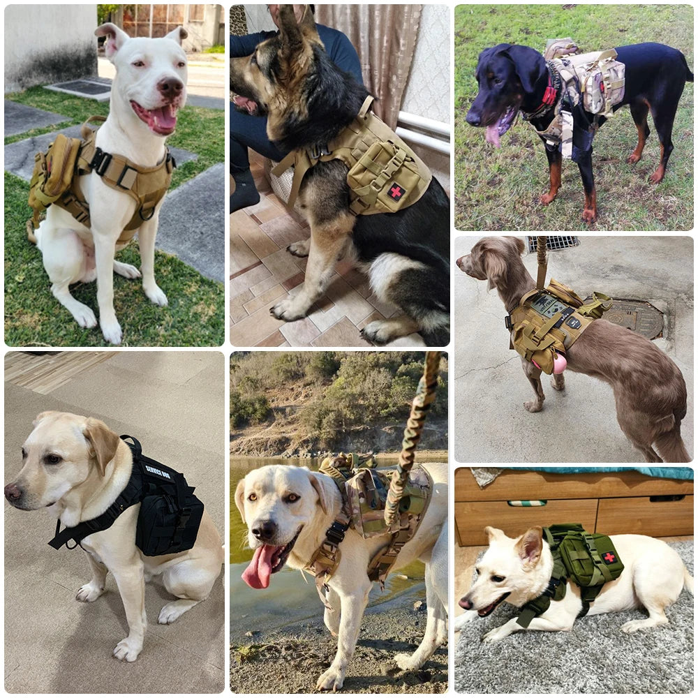 Tactical Dog Harness Leash Set For Training And Walking No Pull