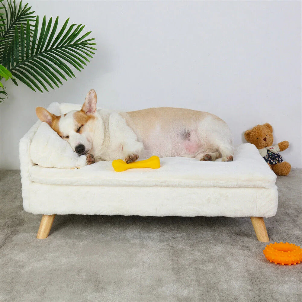 BORWART Elevated Dog Sofa Bed With Plush Cushion And Backrest
