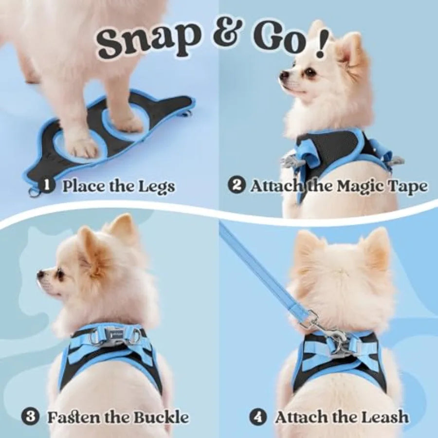 Reflective Step In Breathable Mesh Dog Harness And Leash Set