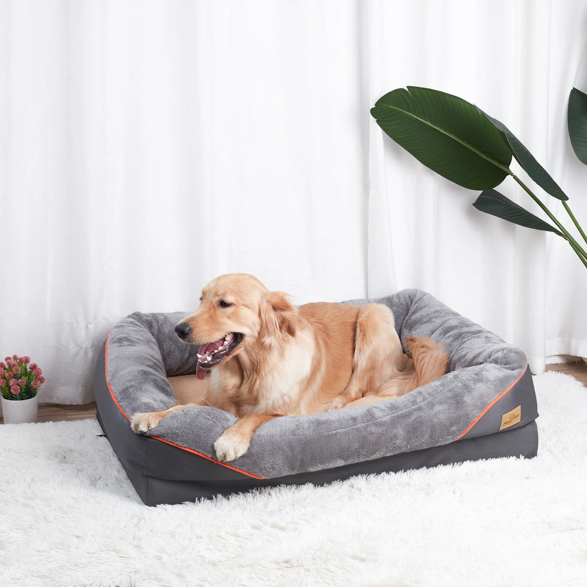 BINGOPAW Washable Waterproof Dog Bed With Removable Cover