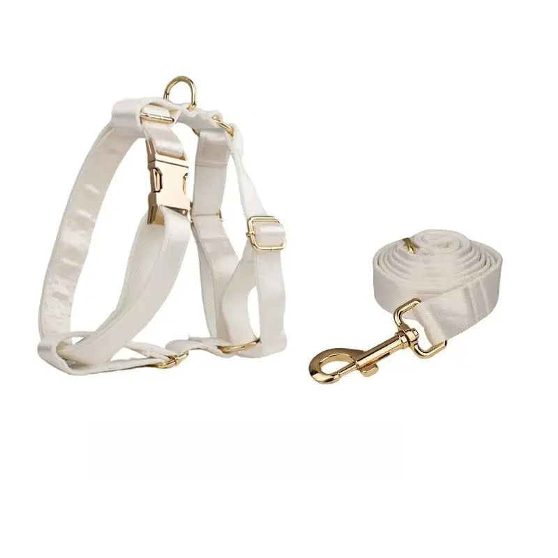 Personalized Dog Collar With Name Tag And Soft Bow Design