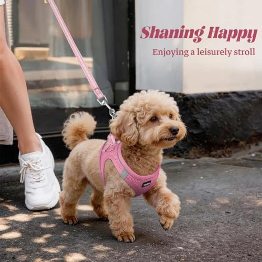 Reflective No Pull Dog Harness And Leash Set For Walking