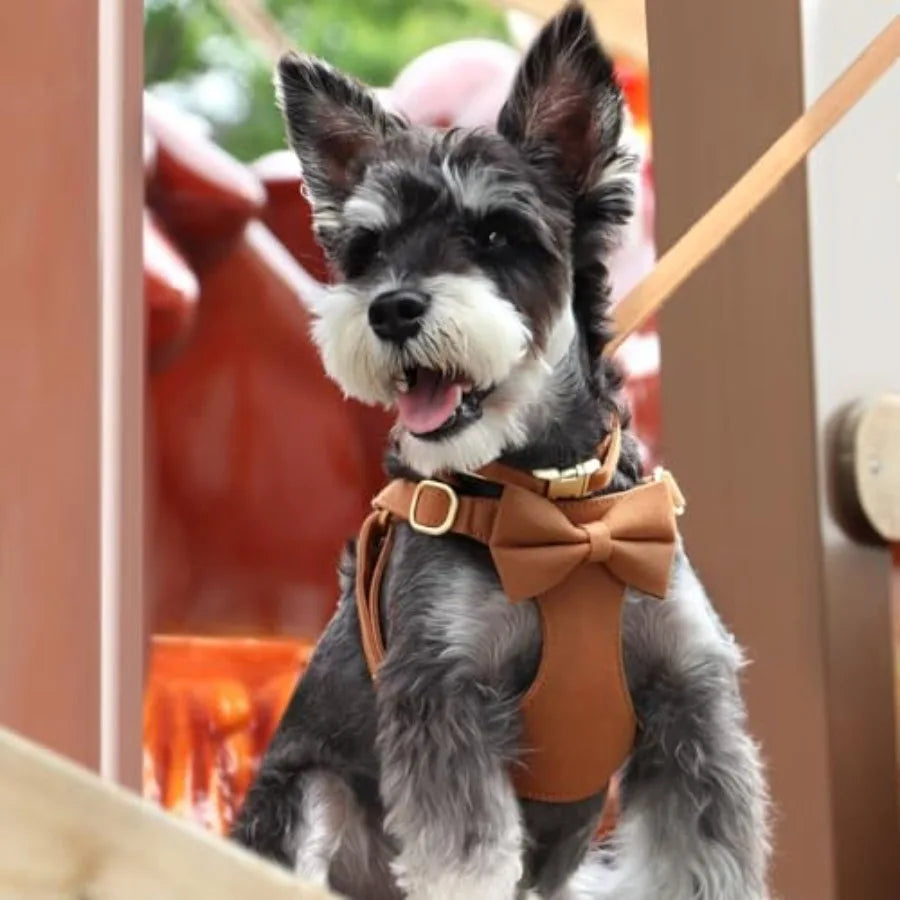 Adjustable Dog Harness Collar And Leash Set For Walking