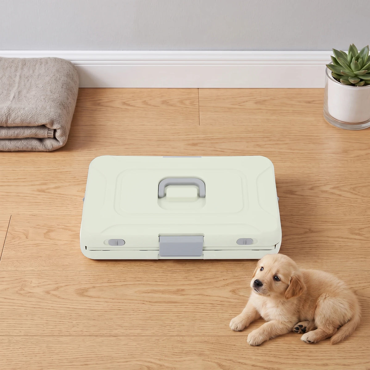 Foldable Hard Shell Pet Carrier Cage for Cats and Dogs