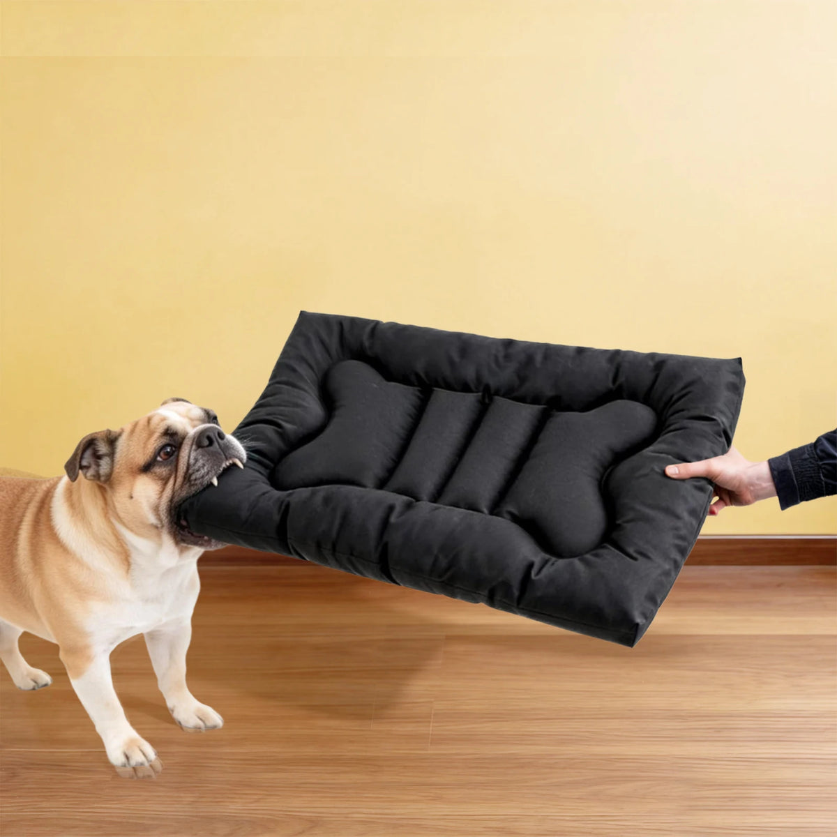 Chew Resistant Waterproof Washable Dog Bed For Tough Chewers